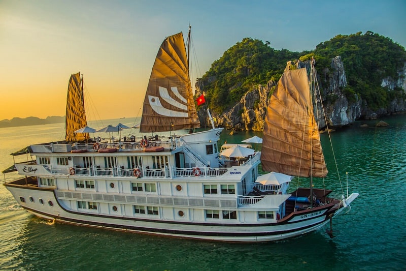 cruise from india to vietnam